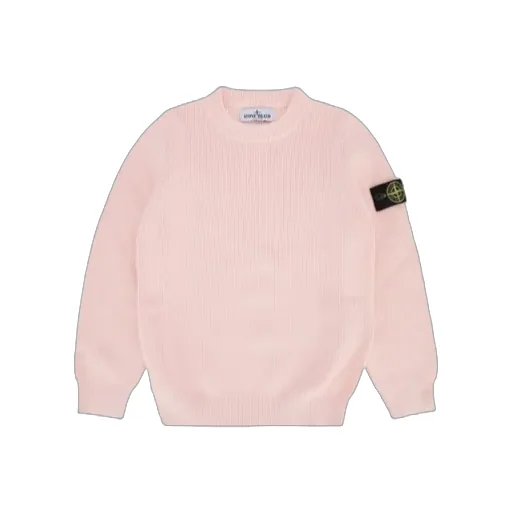 Compass Patch Crewneck Jumper