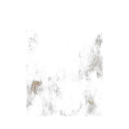 Gaia Print Silk Scarf