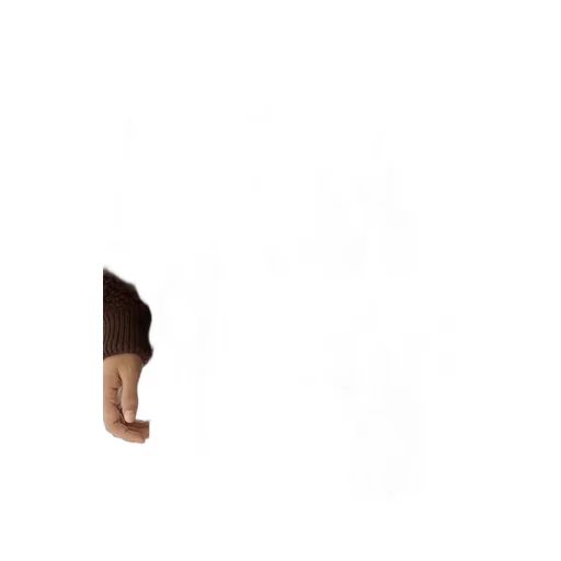 Embroidered Chiffon Midi-Skirt