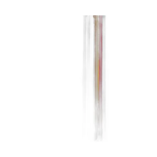 Stripe Detailed Frayed Edge Scarf