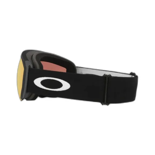 Ski Goggles