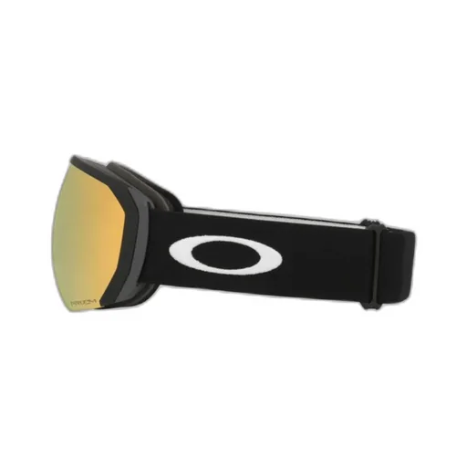 Ski Goggles