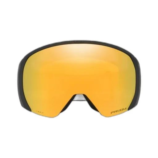 Ski Goggles