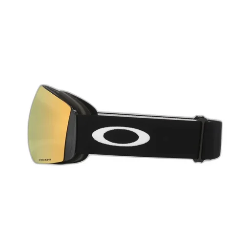 Flight Deck L Snow Goggles