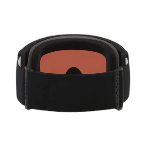Flight Deck Pro L Snow Goggles