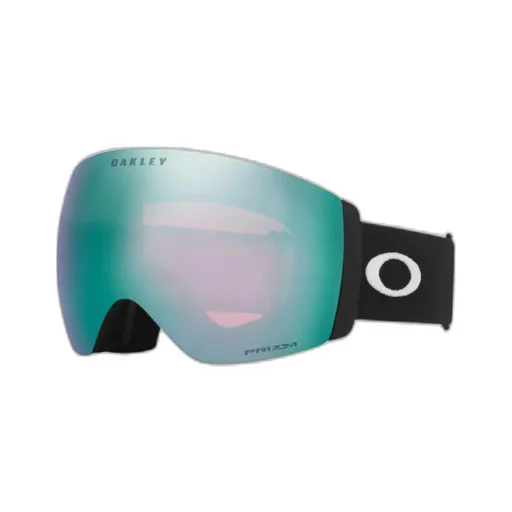 Flight Deck Pro L Snow Goggles