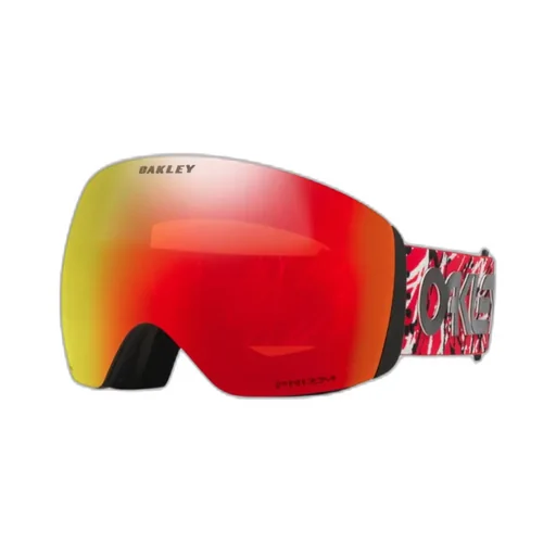 Flight Deck L Snow Goggles