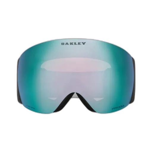 Flight Deck Pro L Snow Goggles