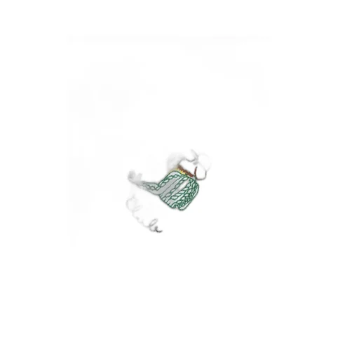 Embroidered-Cactus T-Shirt