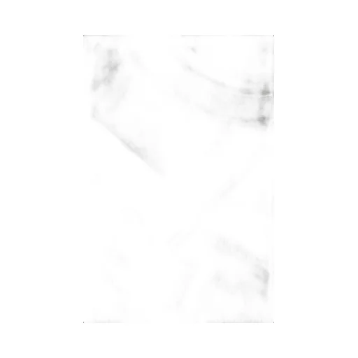 Logo Printed Frayed Edge Scarf