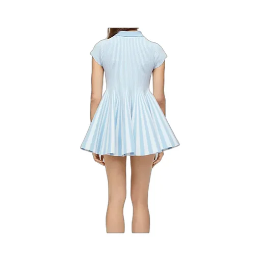Striped Mini Polo Dress