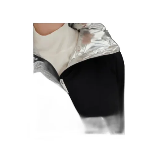 Laminar Jacket In Crinkle Metallic