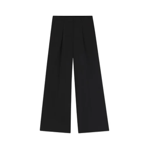 Pleat Detailed Wide Leg Pants