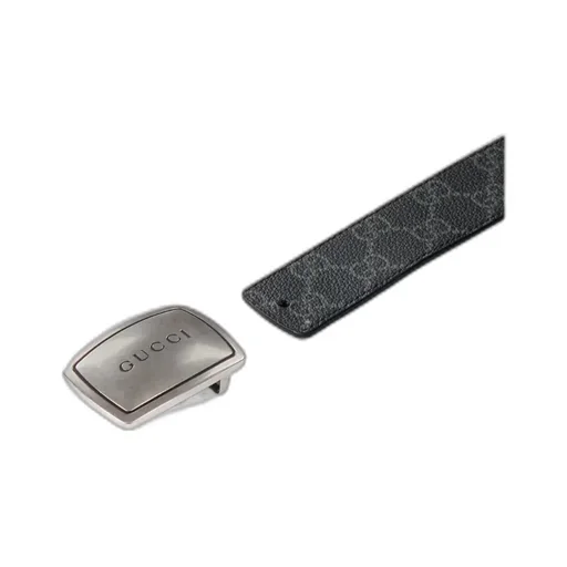 Belt With Plaque Buckle