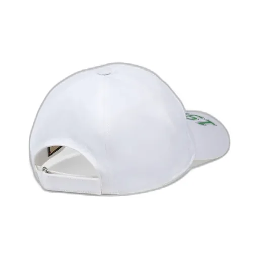 Logo Patch College Baseball Cap