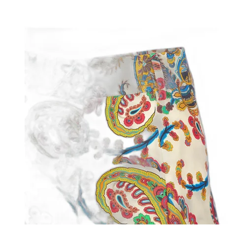 Paisley Printed Shorts