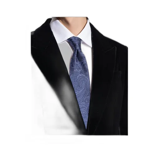 Paisley Jacquard Tie