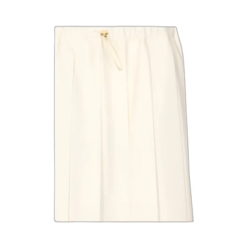 Elasticated Waistband Pleated Skirt