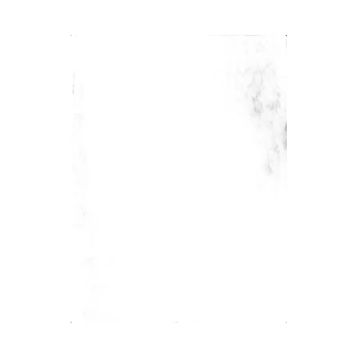 Roll Neck Merino Jumper