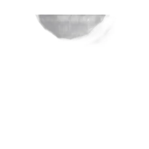 Icon Printed T-Shirt