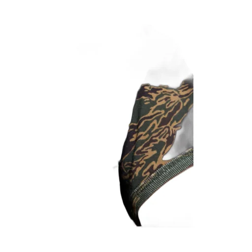 Eagle-Print Camouflage T-Shirt