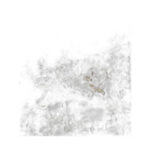 Jardin D-ÉToile Print Scarf