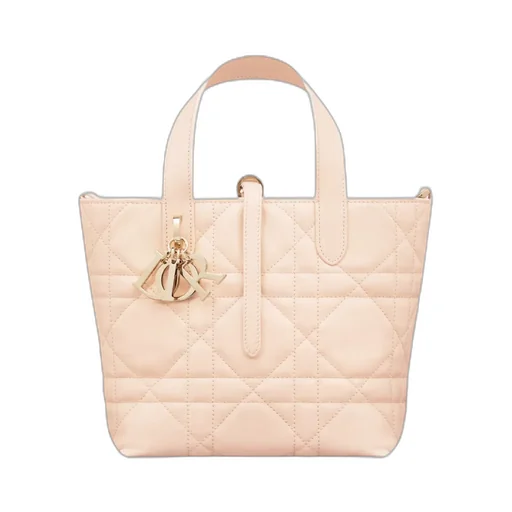 Dior Toujours Vertical Handbag
