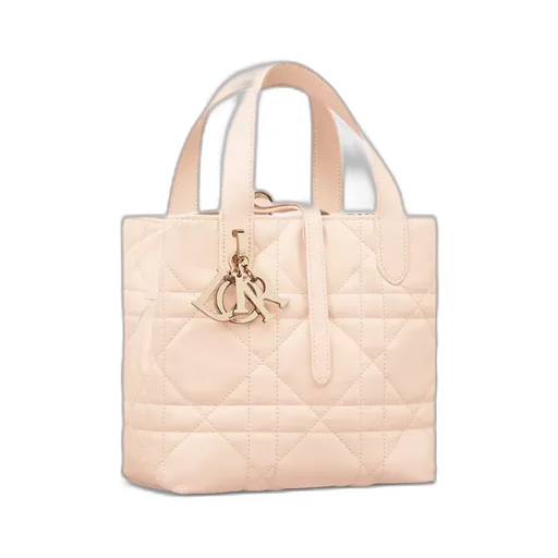 Dior Toujours Vertical Handbag
