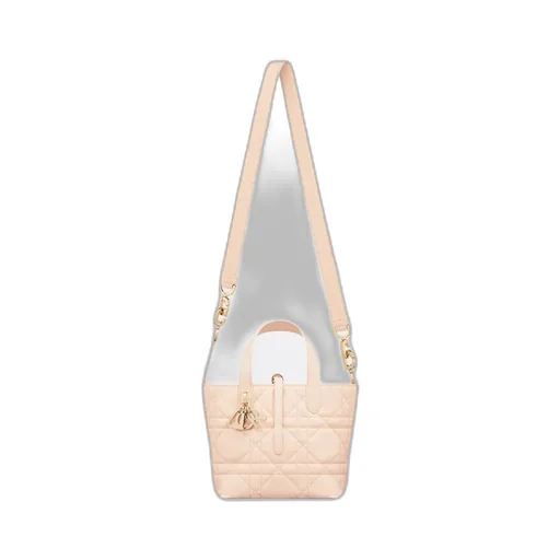Dior Toujours Vertical Handbag