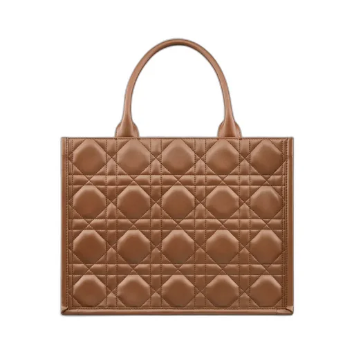 Medium Dior Book Tote