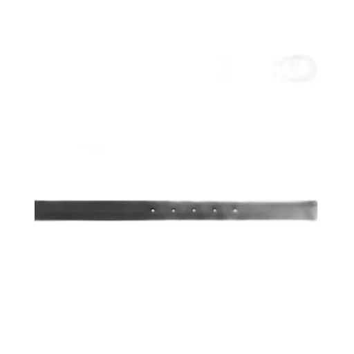 30 Montaigne Belt