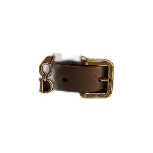 Saddle Loop Belt