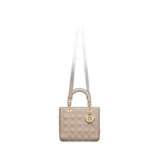 Medium Lady Dior Bag