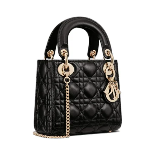Mini Lady Dior Bag