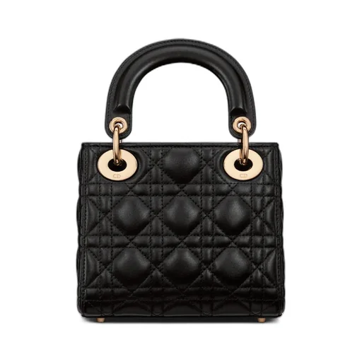Mini Lady Dior Bag