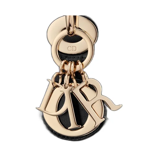 Mini Lady Dior Bag
