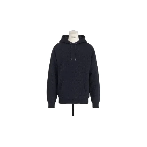 Dior Oblique Hooded Sweatshirt