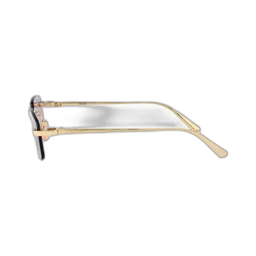 Cdior S4U Rectangular Frame Sunglasses
