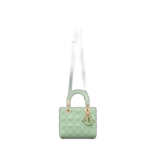 Small Lady Dior Bag