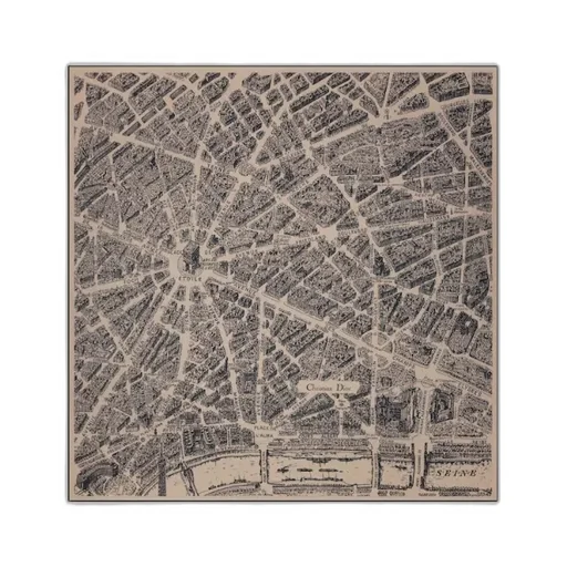 Plan De Paris Shawl