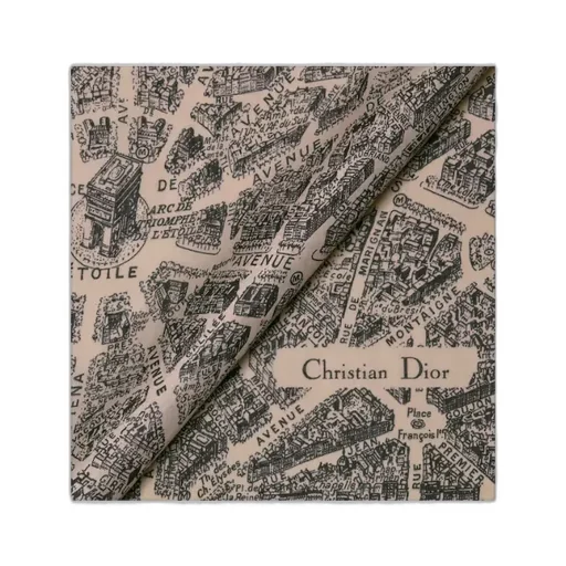 Plan De Paris Shawl