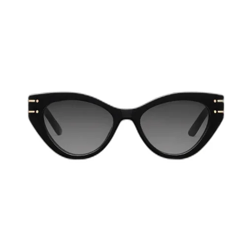 Diorsignature B7I Butterfly Sunglasses
