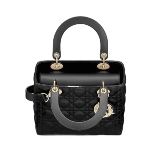 Medium Lady Dior Bag