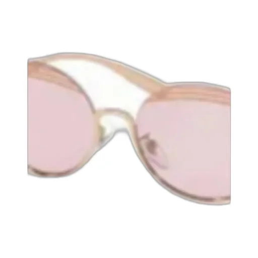 Round Sunglasses