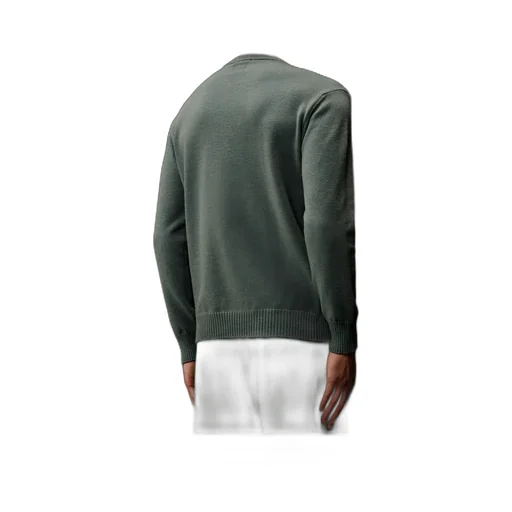 Metropolis Series Extrafine Merino Wool Crewneck Sweater