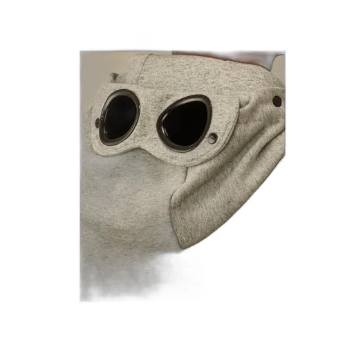 Goggle Hooded Sweatshirt