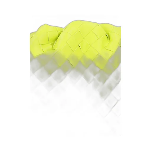Pouch Intrecciato Clutch