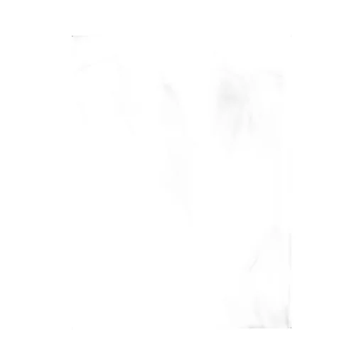 V-Neck Long Sleeved Bodysuit