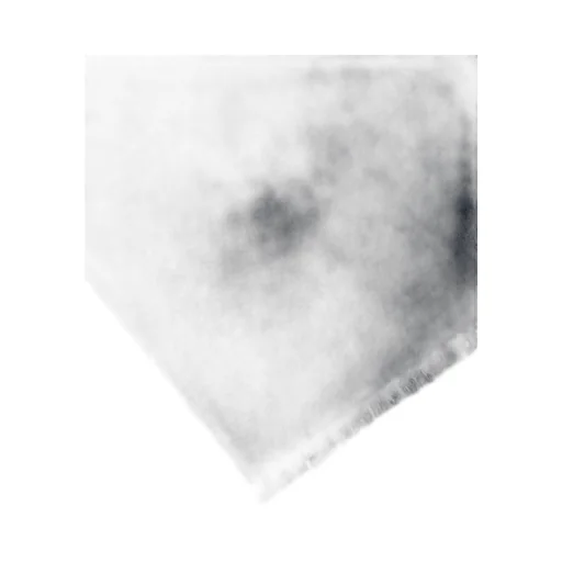 Sparkled Frayed-Edge Scarf