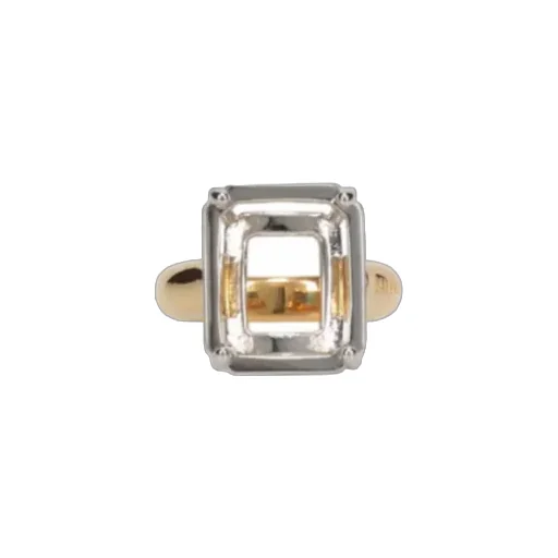 Frame Oval Ring